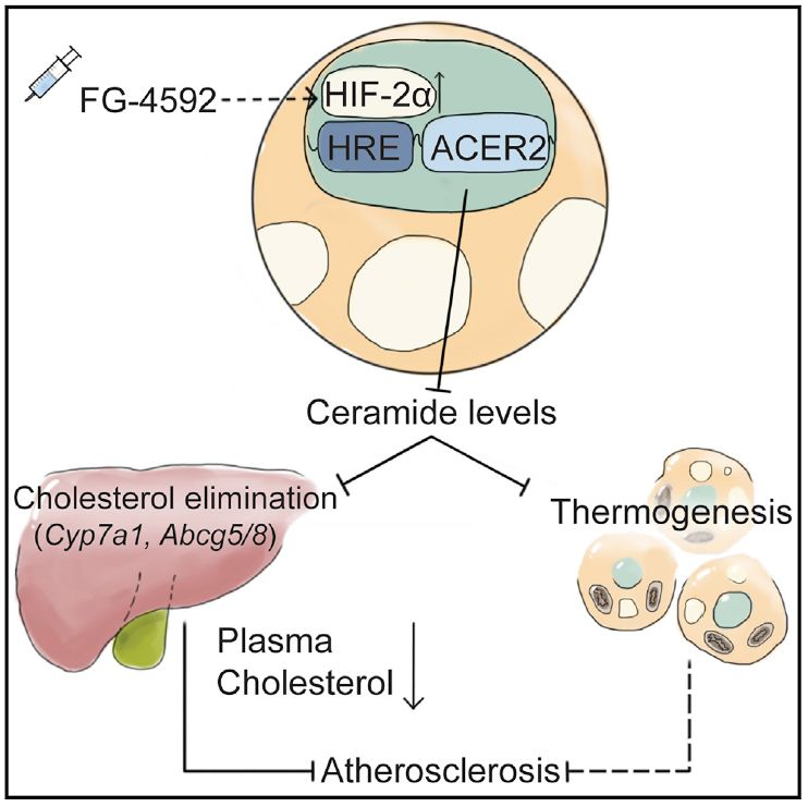 亚游集团·ag8(中国)官网-只為非同凡享