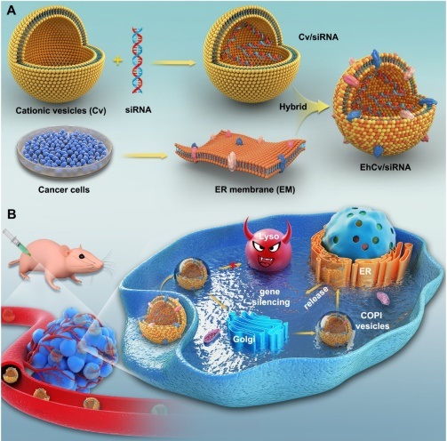 亚游集团·ag8(中国)官网-只為非同凡享