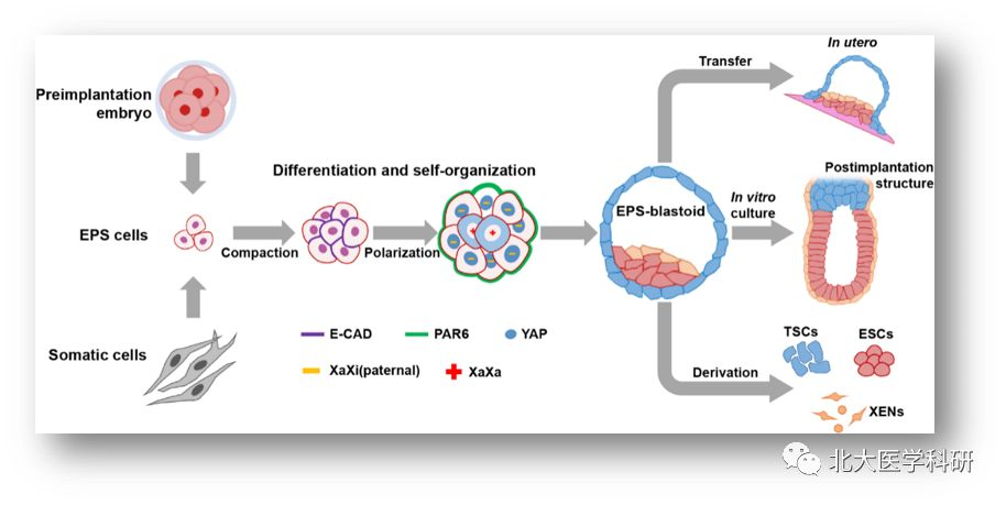 亚游集团·ag8(中国)官网-只為非同凡享