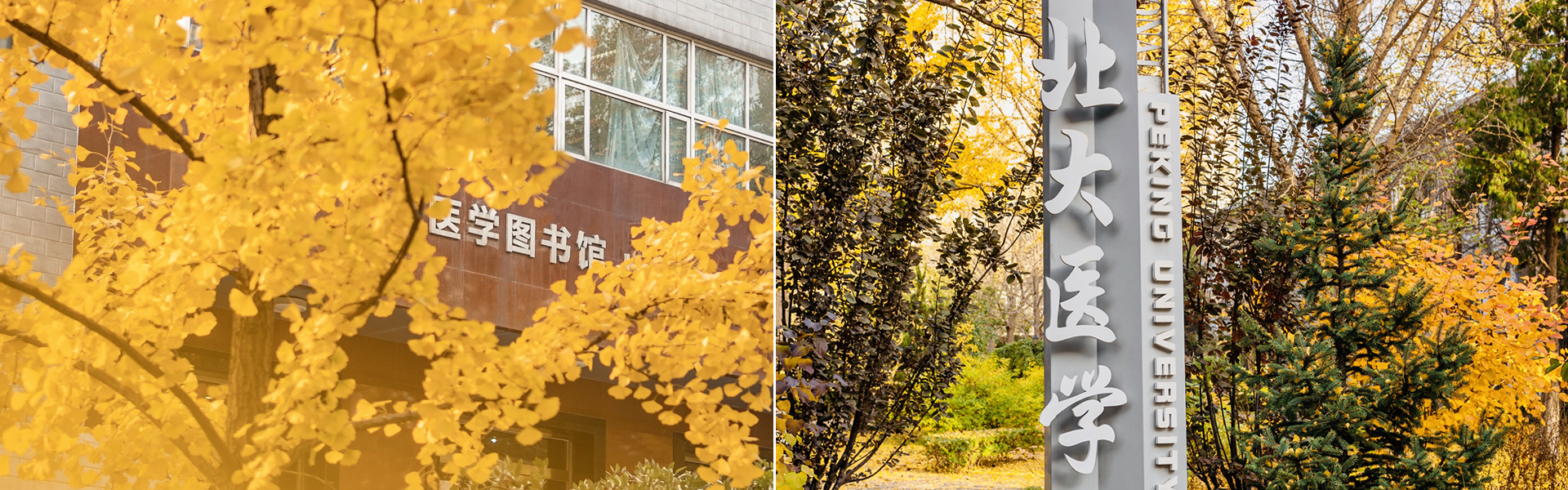 亚游集团·ag8(中国)官网-只為非同凡享