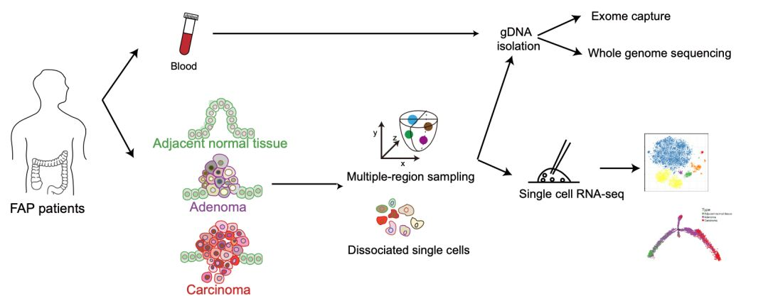亚游集团·ag8(中国)官网-只為非同凡享