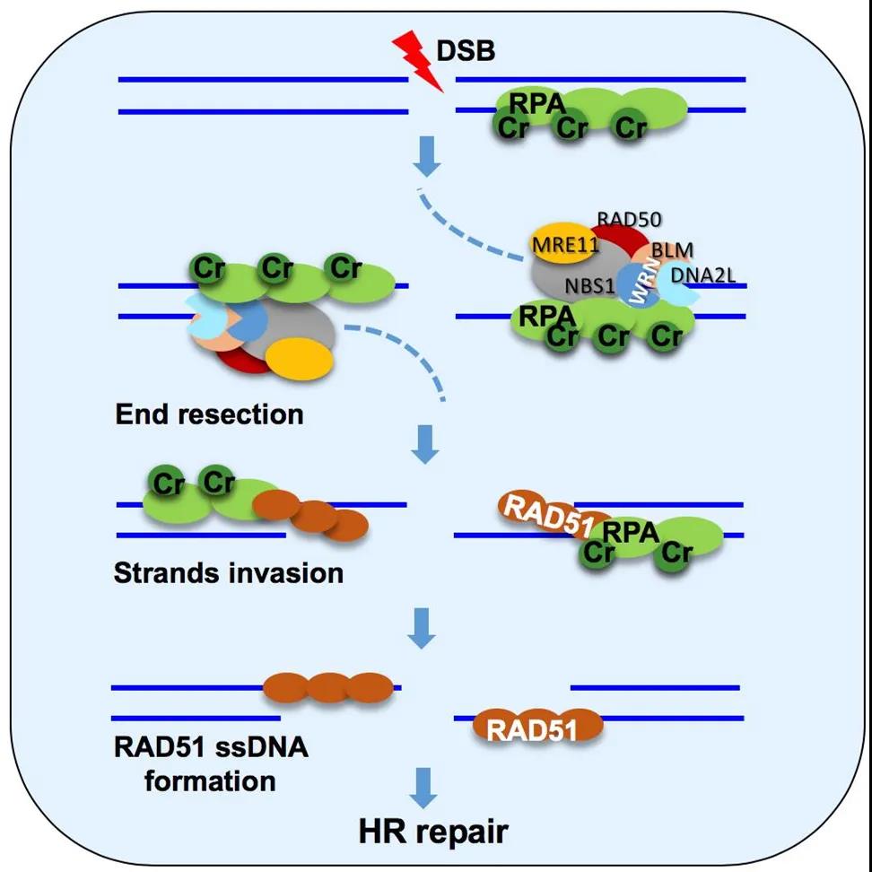 亚游集团·ag8(中国)官网-只為非同凡享