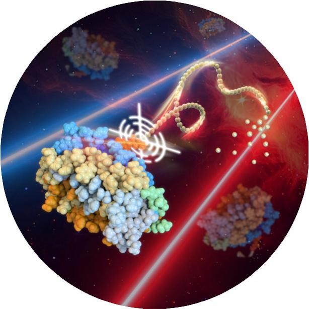 亚游集团·ag8(中国)官网-只為非同凡享