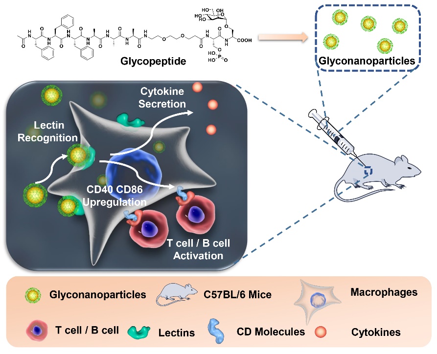 亚游集团·ag8(中国)官网-只為非同凡享