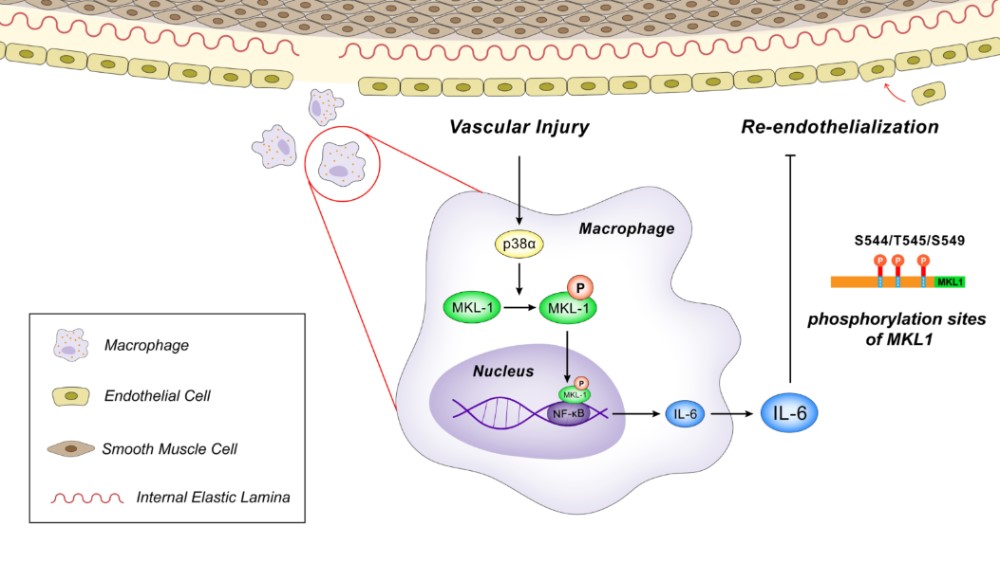 亚游集团·ag8(中国)官网-只為非同凡享