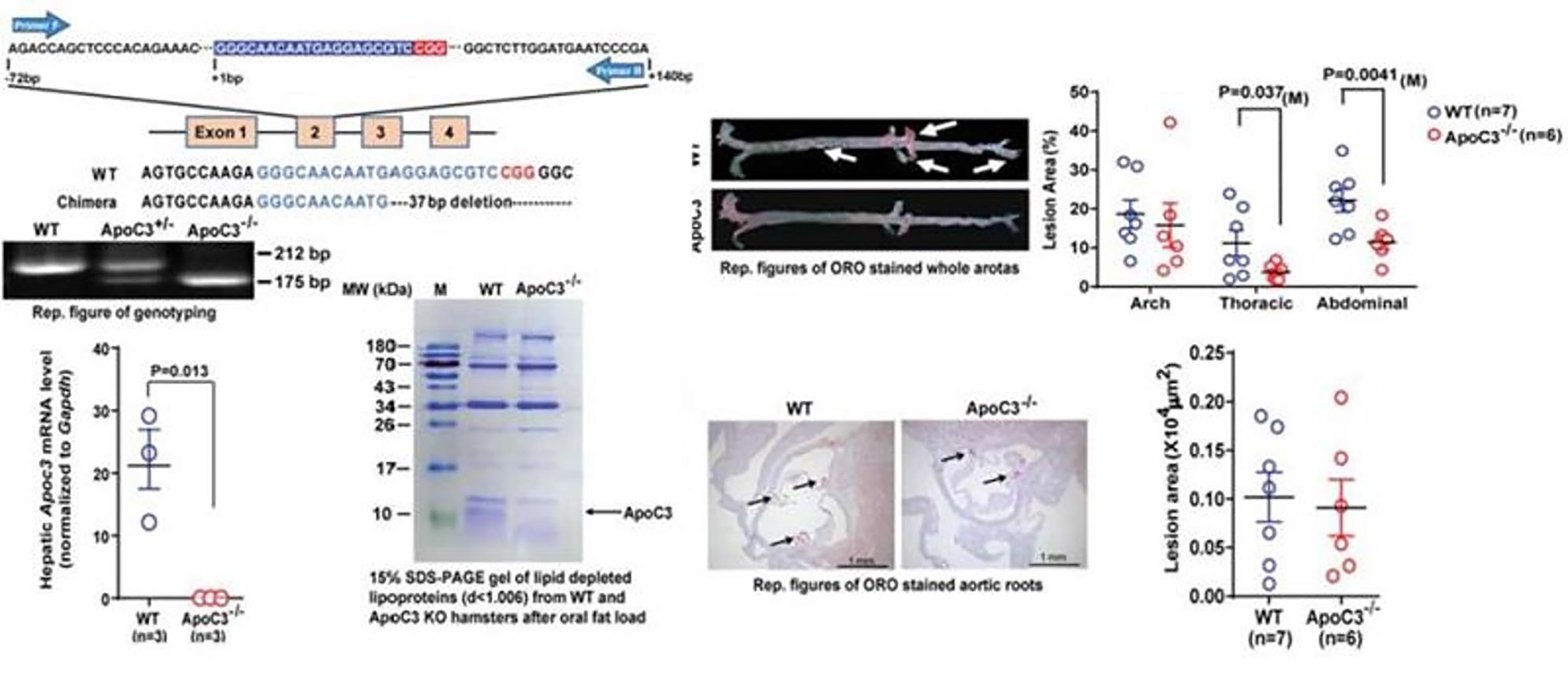 亚游集团·ag8(中国)官网-只為非同凡享