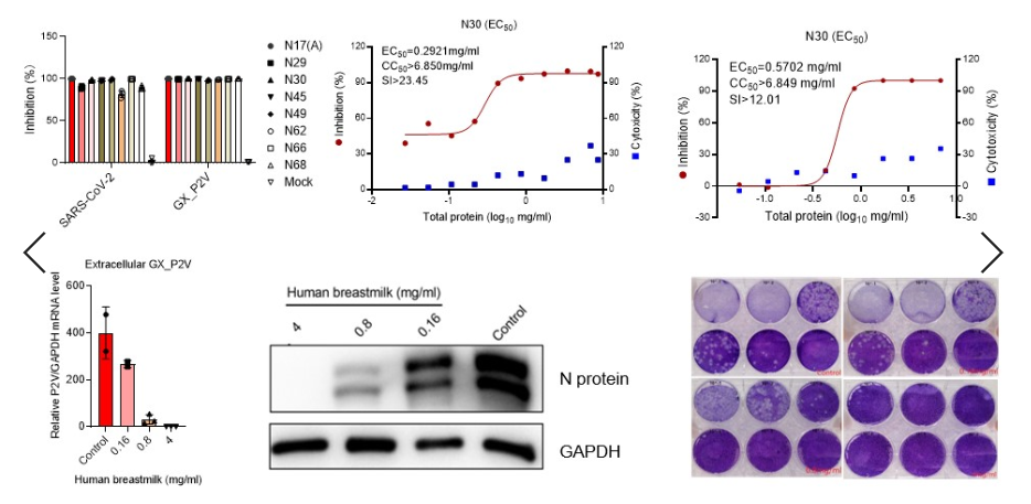亚游集团·ag8(中国)官网-只為非同凡享