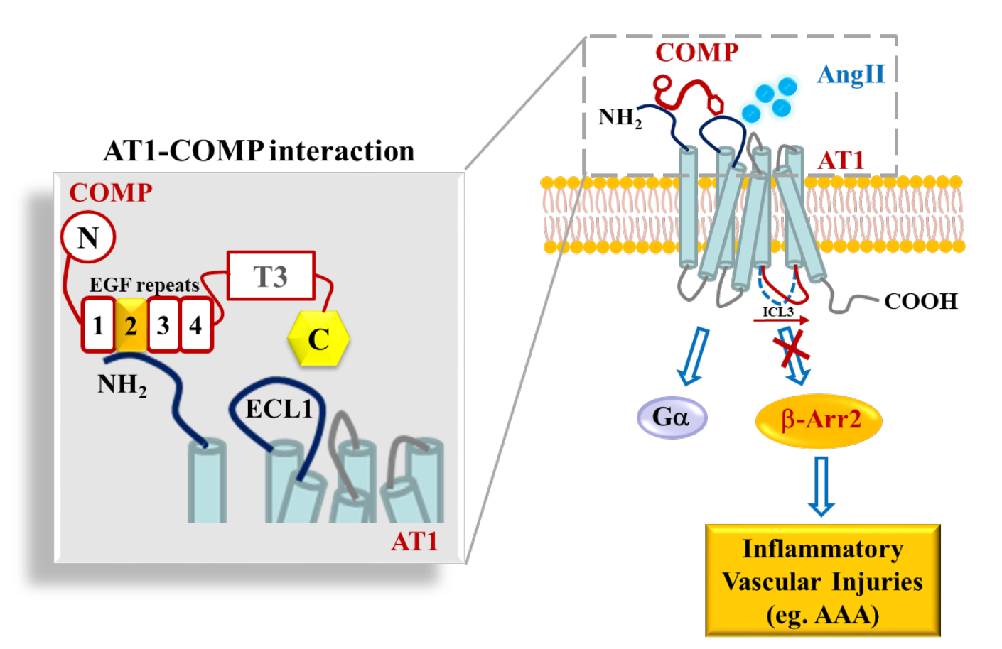亚游集团·ag8(中国)官网-只為非同凡享
