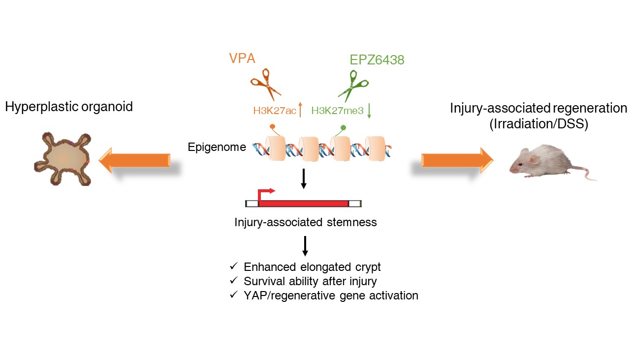 亚游集团·ag8(中国)官网-只為非同凡享