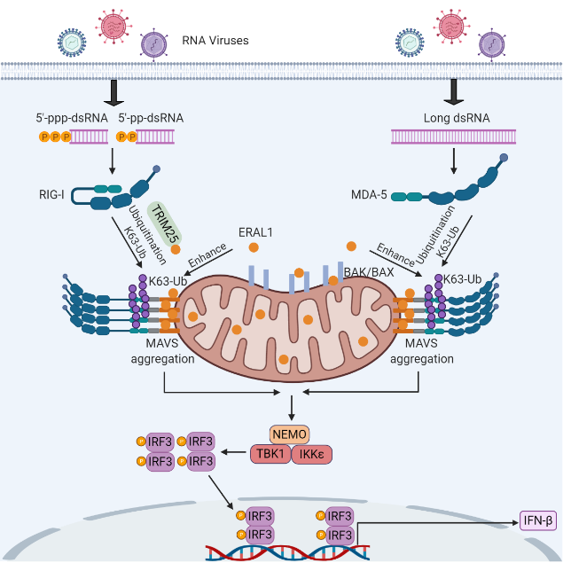亚游集团·ag8(中国)官网-只為非同凡享