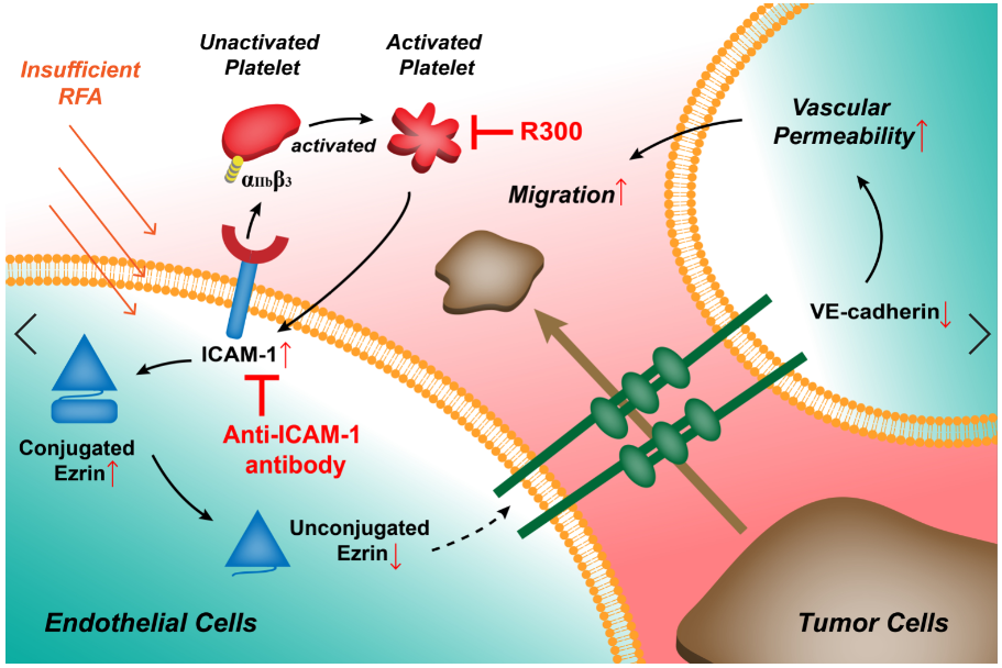 亚游集团·ag8(中国)官网-只為非同凡享