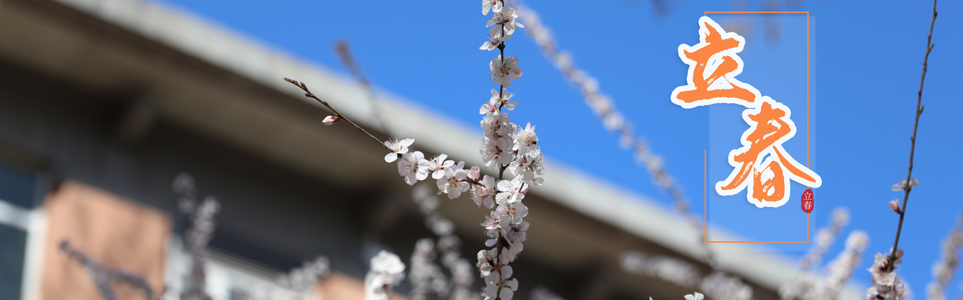 亚游集团·ag8(中国)官网-只為非同凡享