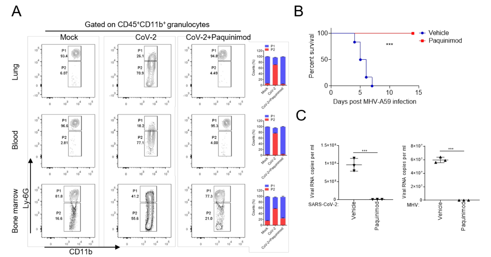 亚游集团·ag8(中国)官网-只為非同凡享