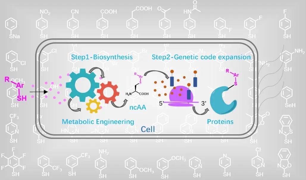 亚游集团·ag8(中国)官网-只為非同凡享