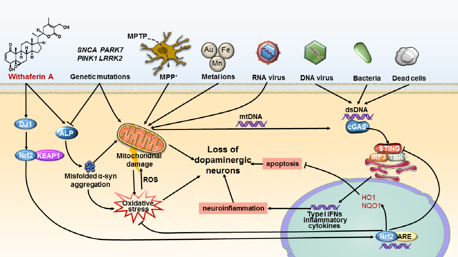 亚游集团·ag8(中国)官网-只為非同凡享