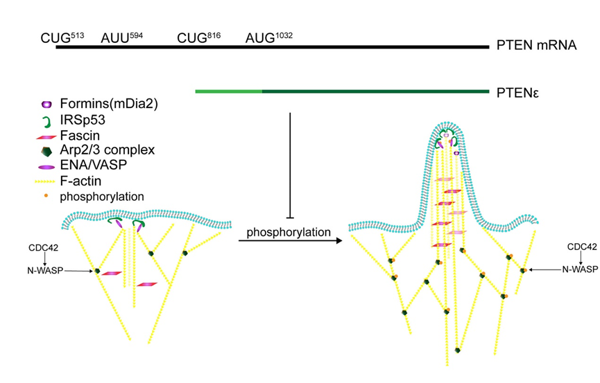 亚游集团·ag8(中国)官网-只為非同凡享
