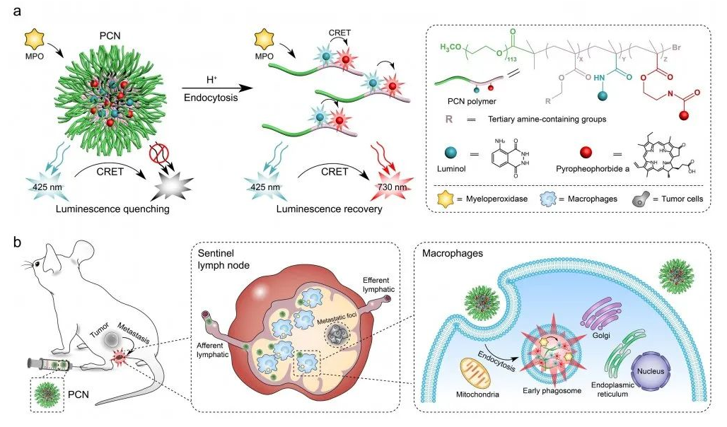 亚游集团·ag8(中国)官网-只為非同凡享
