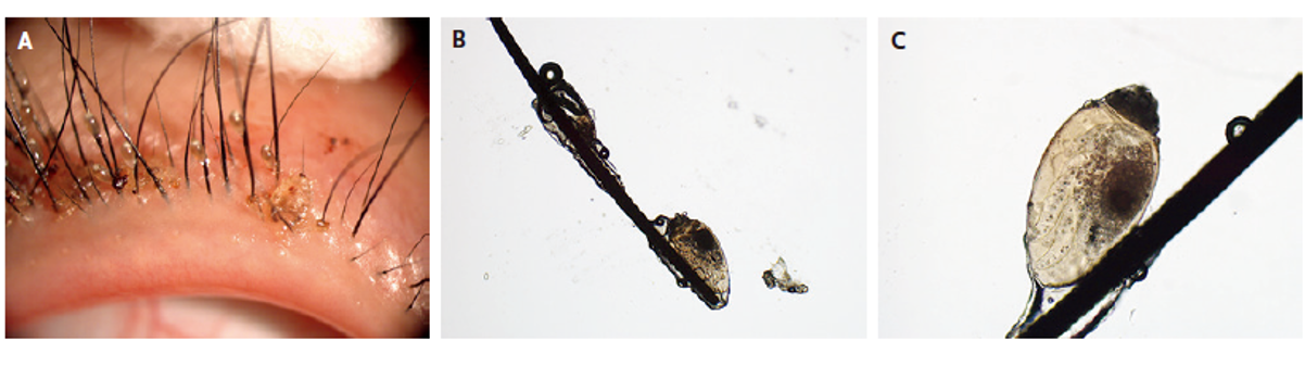 亚游集团·ag8(中国)官网-只為非同凡享