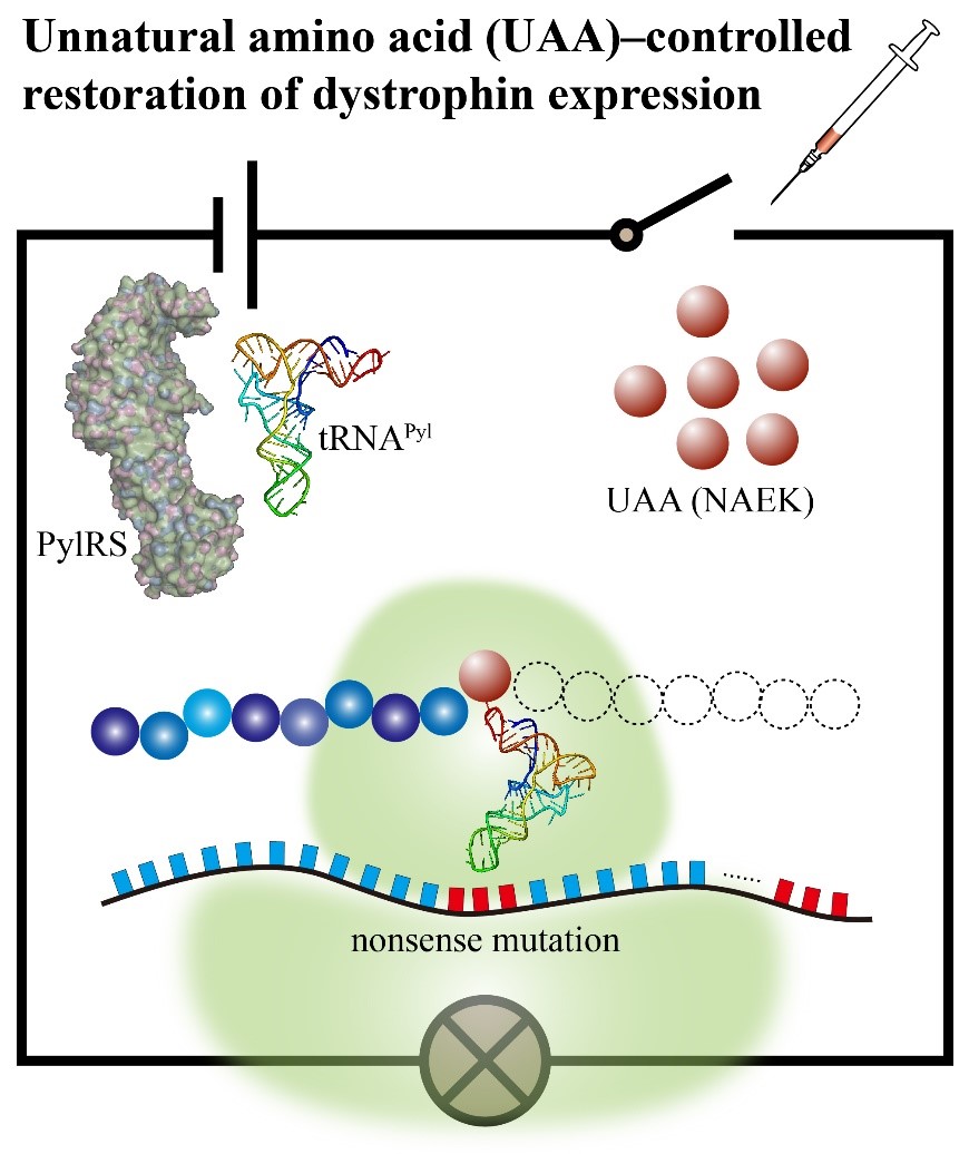 亚游集团·ag8(中国)官网-只為非同凡享