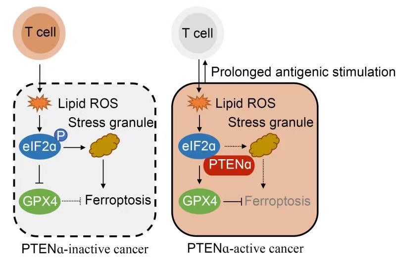 亚游集团·ag8(中国)官网-只為非同凡享