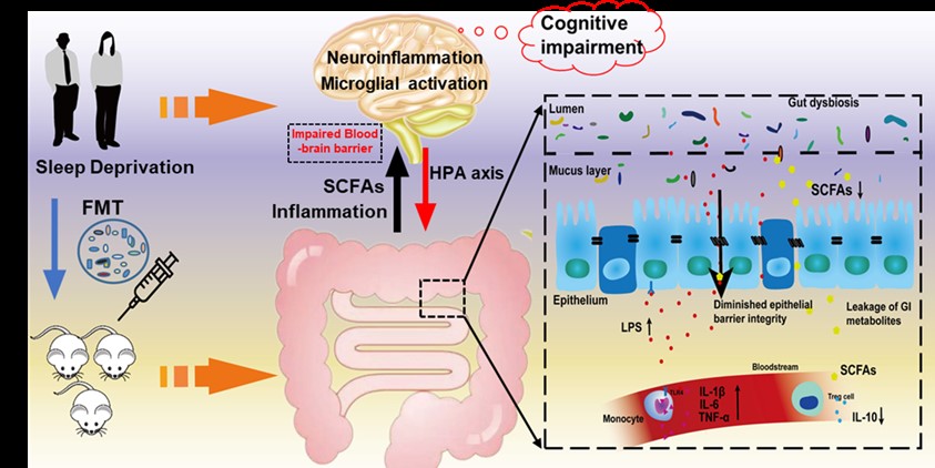 亚游集团·ag8(中国)官网-只為非同凡享
