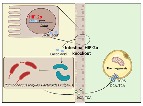 亚游集团·ag8(中国)官网-只為非同凡享
