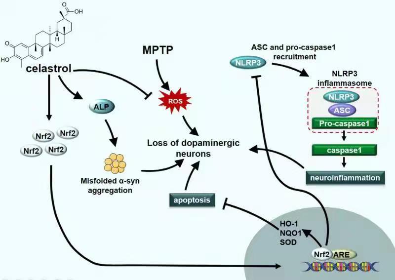 亚游集团·ag8(中国)官网-只為非同凡享