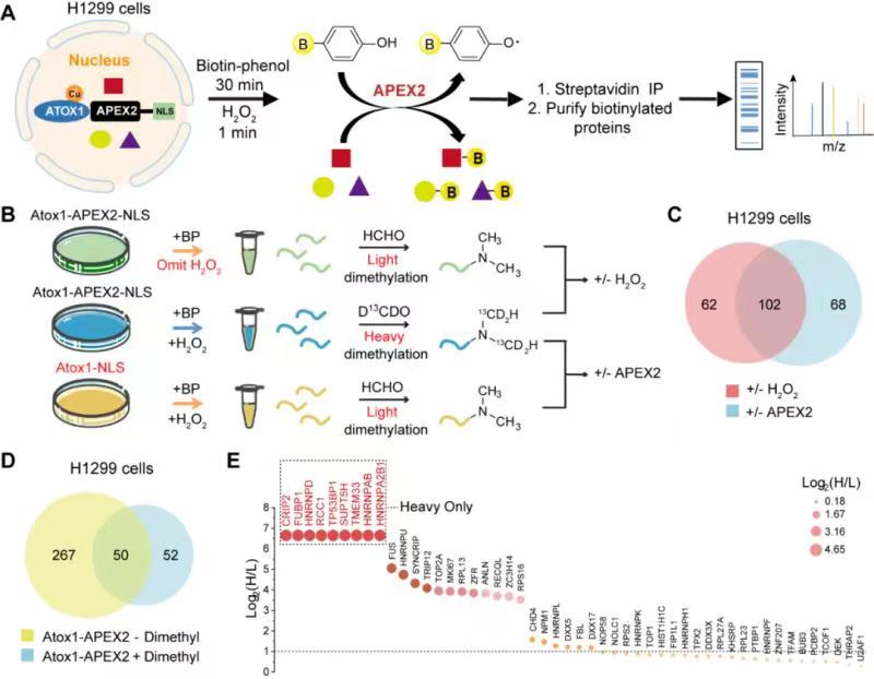 亚游集团·ag8(中国)官网-只為非同凡享