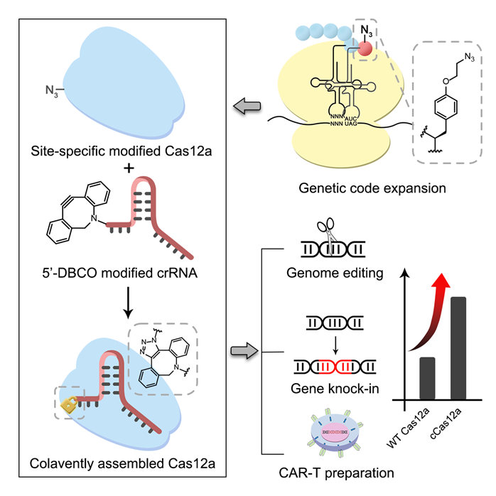 亚游集团·ag8(中国)官网-只為非同凡享