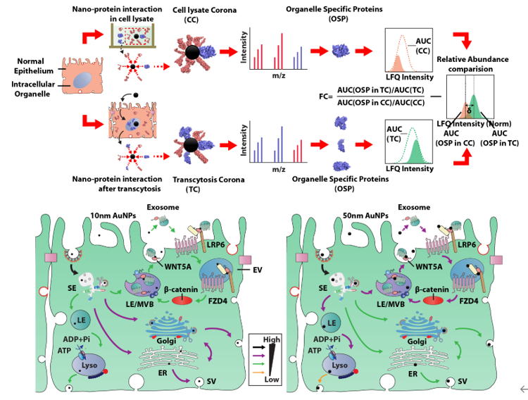 亚游集团·ag8(中国)官网-只為非同凡享