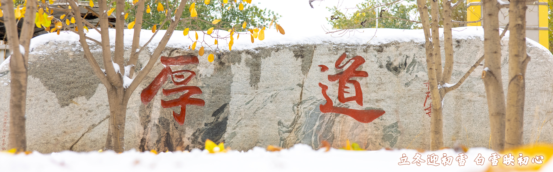 亚游集团·ag8(中国)官网-只為非同凡享