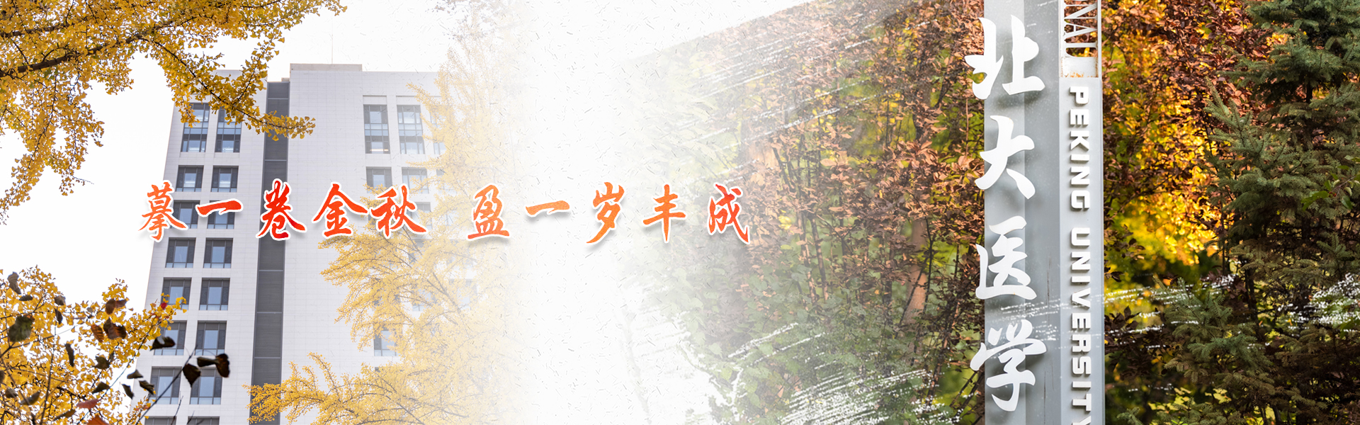 亚游集团·ag8(中国)官网-只為非同凡享