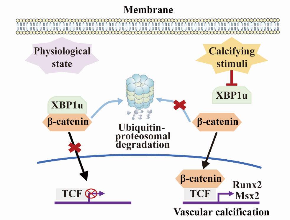 亚游集团·ag8(中国)官网-只為非同凡享