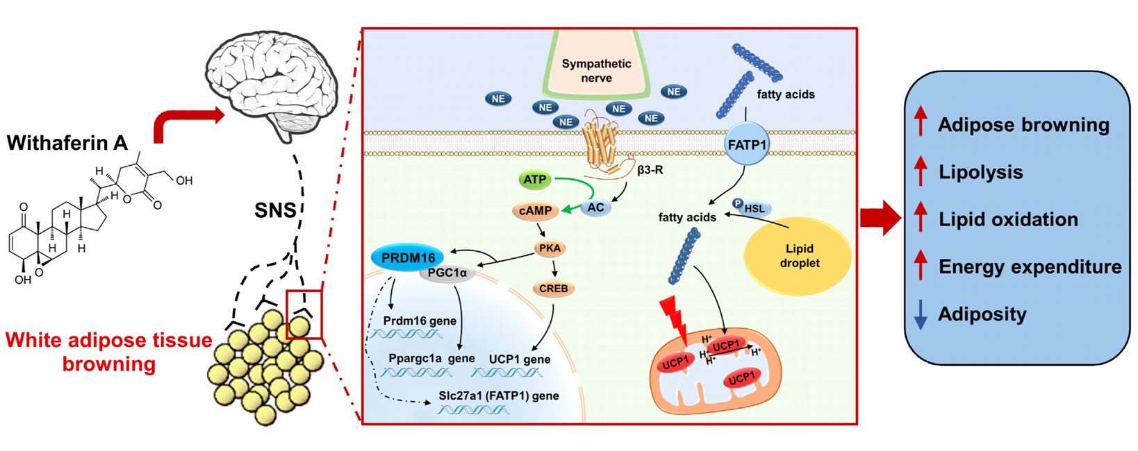 亚游集团·ag8(中国)官网-只為非同凡享