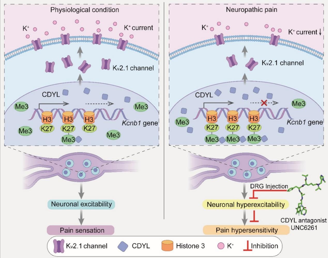 亚游集团·ag8(中国)官网-只為非同凡享