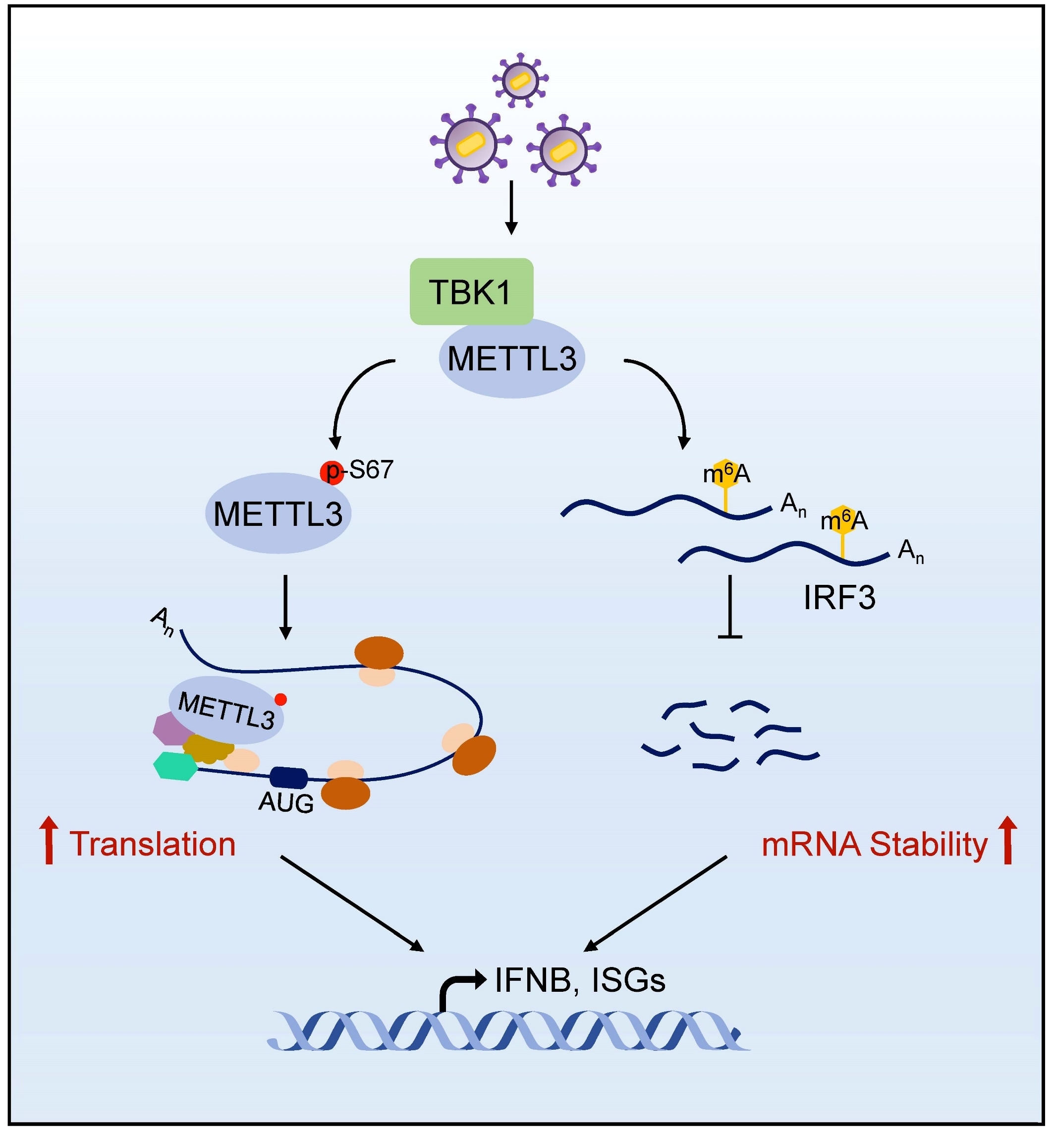 亚游集团·ag8(中国)官网-只為非同凡享