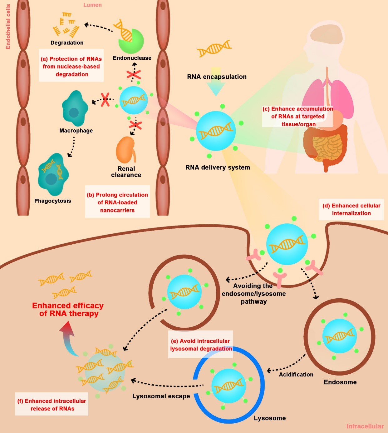 亚游集团·ag8(中国)官网-只為非同凡享