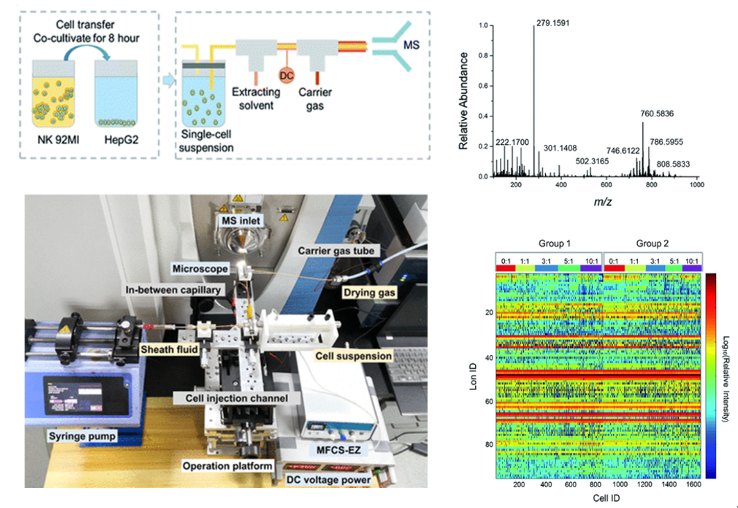 亚游集团·ag8(中国)官网-只為非同凡享