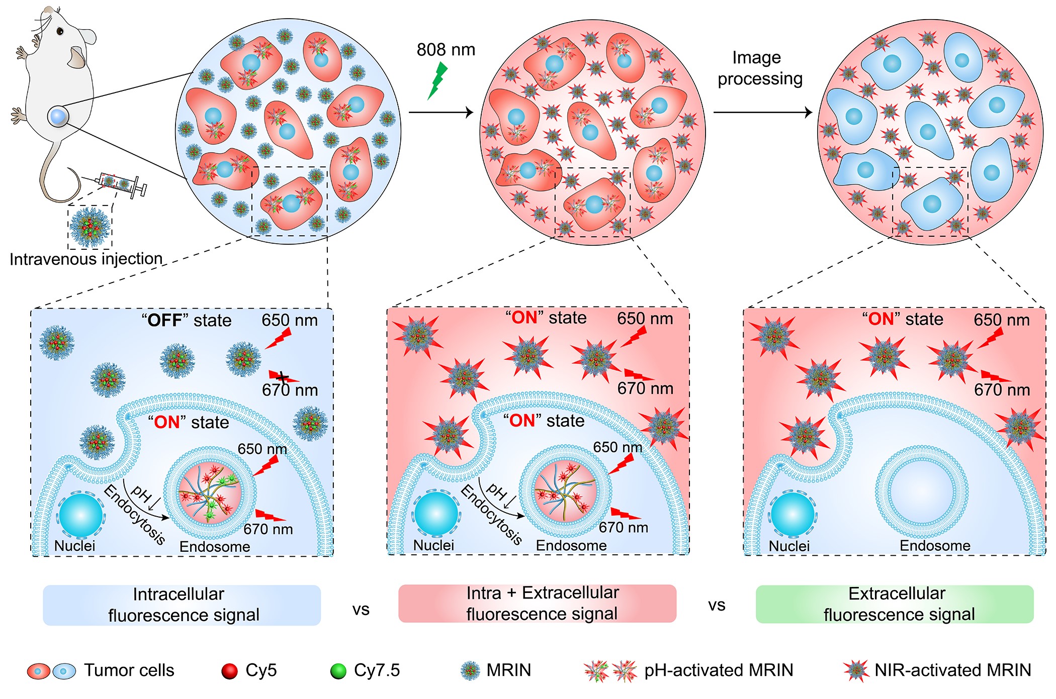 亚游集团·ag8(中国)官网-只為非同凡享