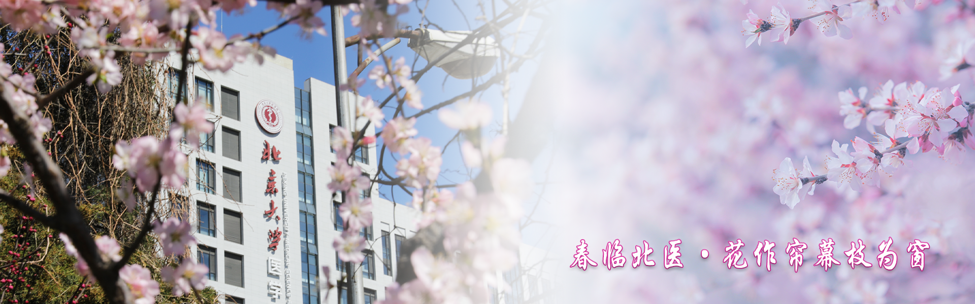 亚游集团·ag8(中国)官网-只為非同凡享