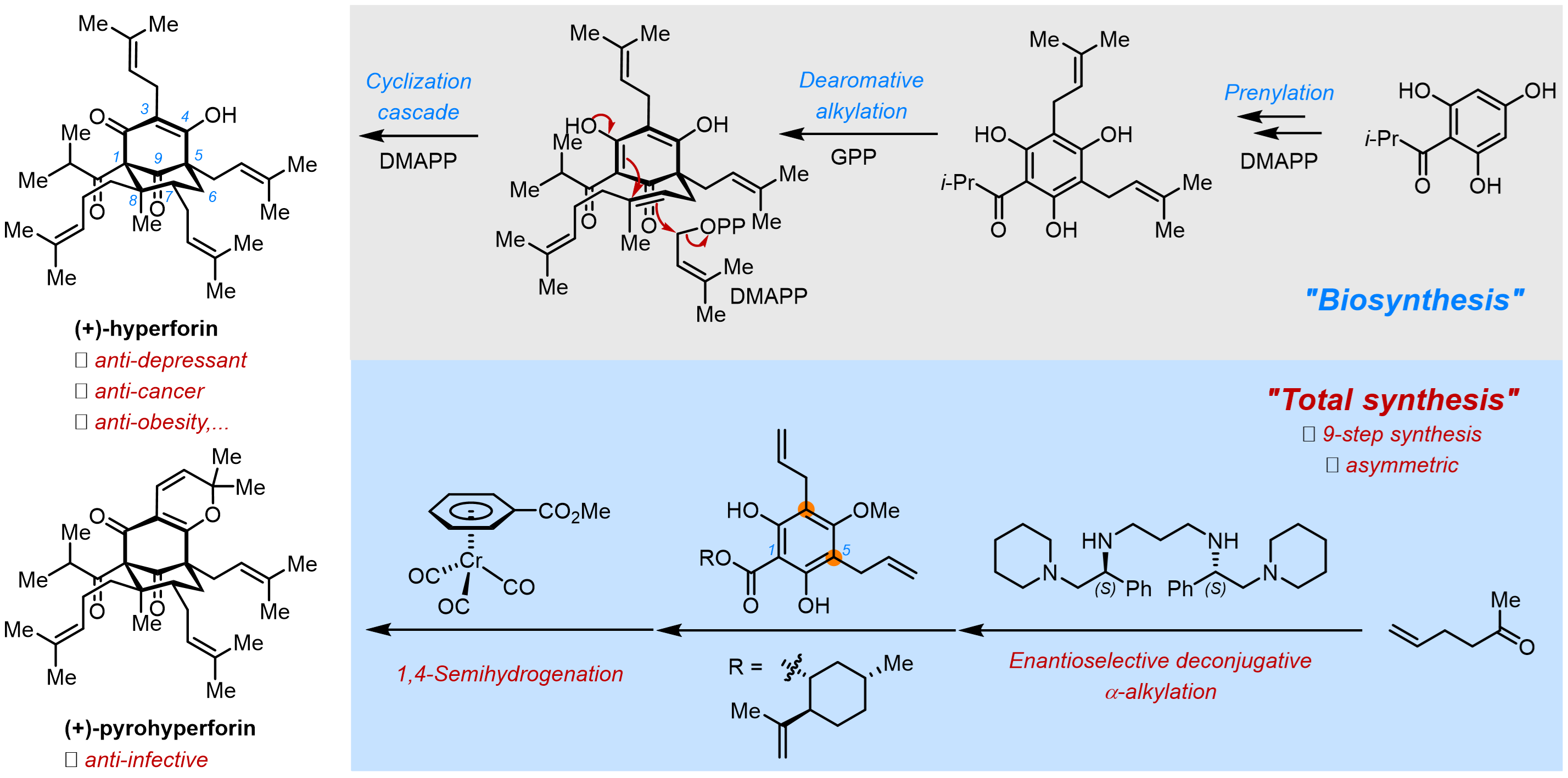 亚游集团·ag8(中国)官网-只為非同凡享