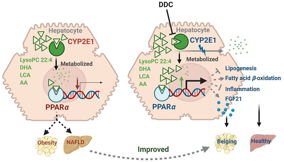 亚游集团·ag8(中国)官网-只為非同凡享