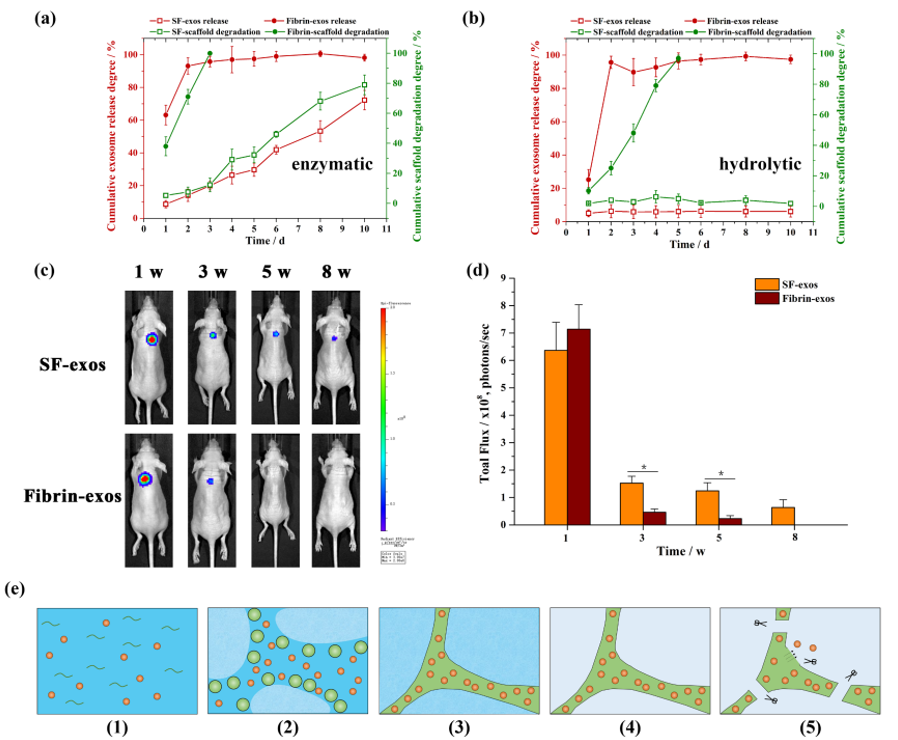 亚游集团·ag8(中国)官网-只為非同凡享