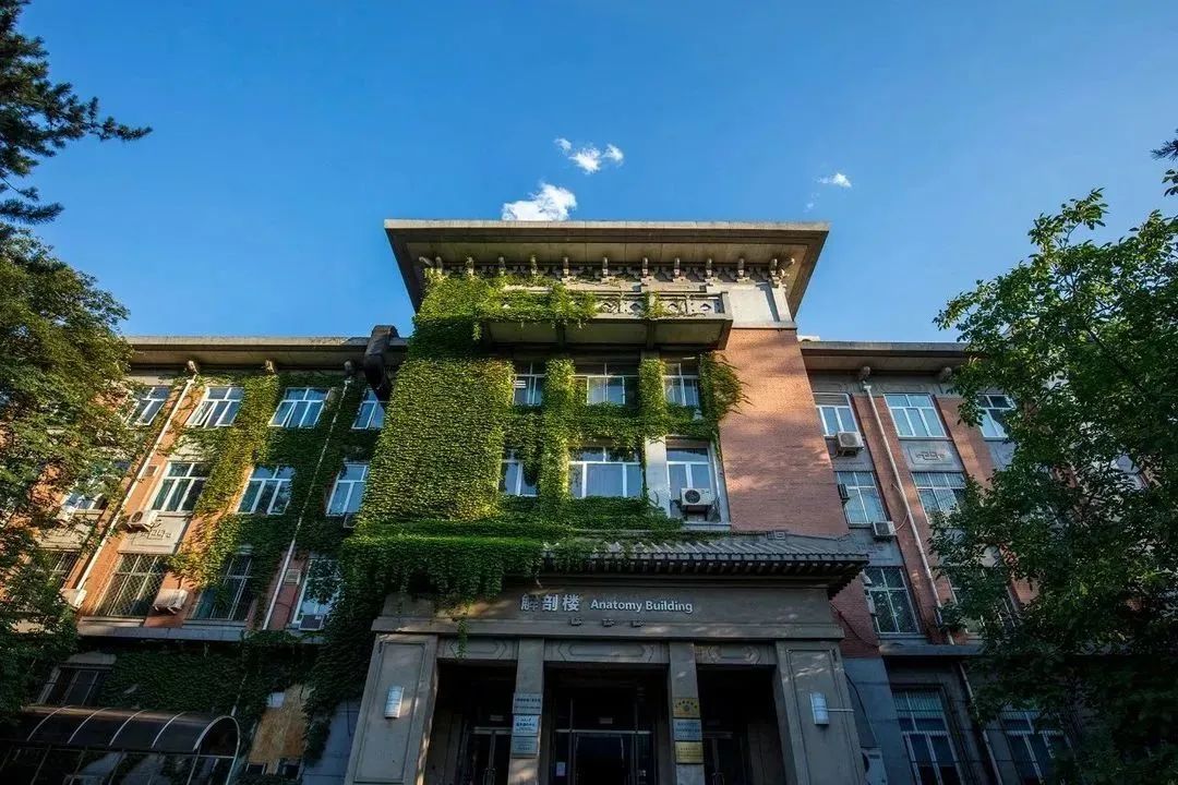 亚游集团·ag8(中国)官网-只為非同凡享