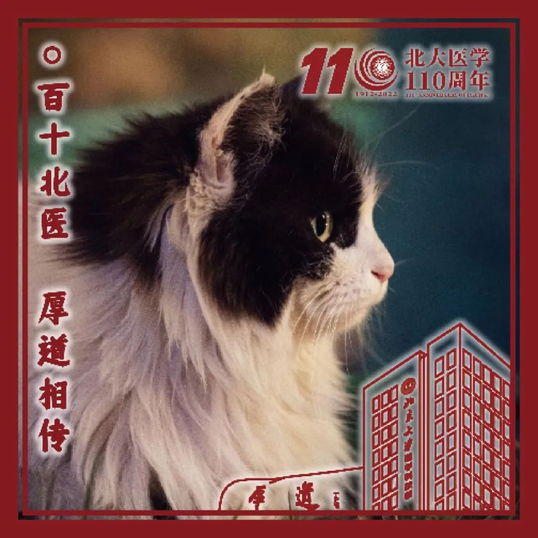 亚游集团·ag8(中国)官网-只為非同凡享