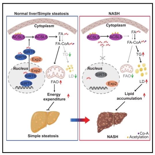亚游集团·ag8(中国)官网-只為非同凡享