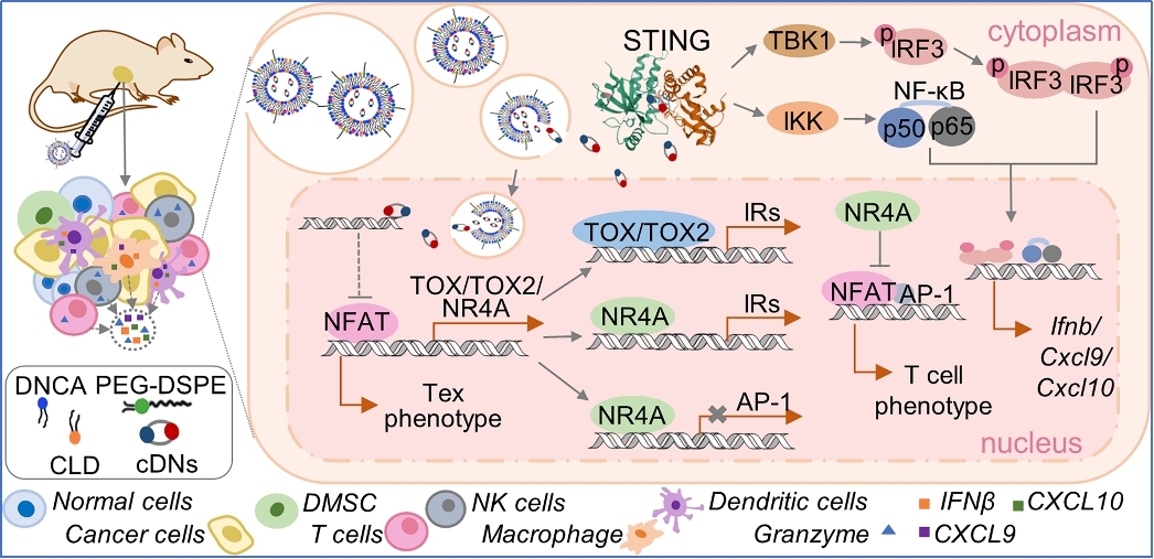 亚游集团·ag8(中国)官网-只為非同凡享