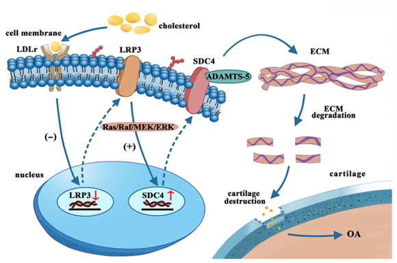 亚游集团·ag8(中国)官网-只為非同凡享