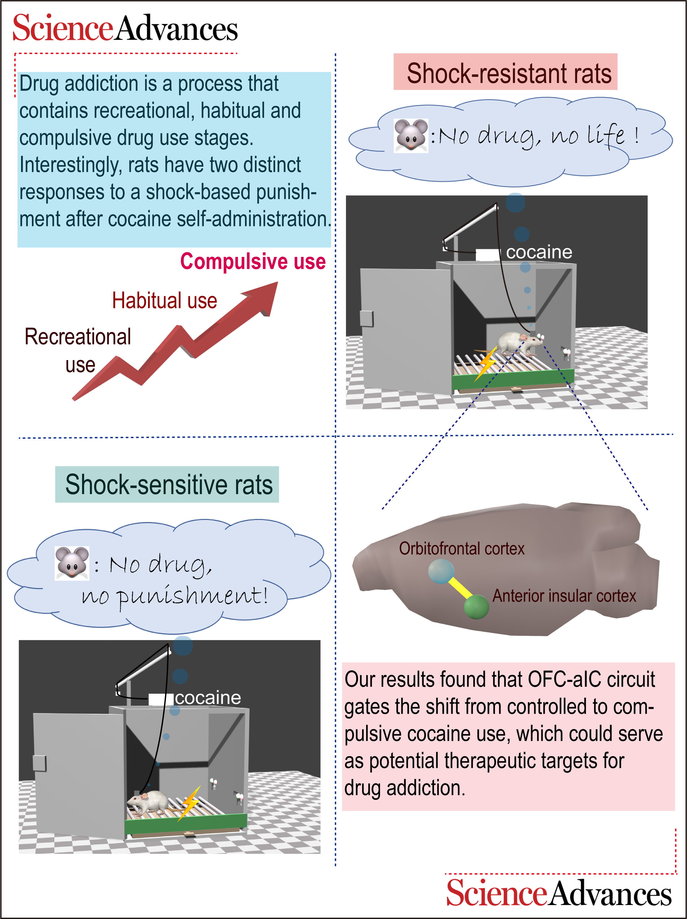亚游集团·ag8(中国)官网-只為非同凡享