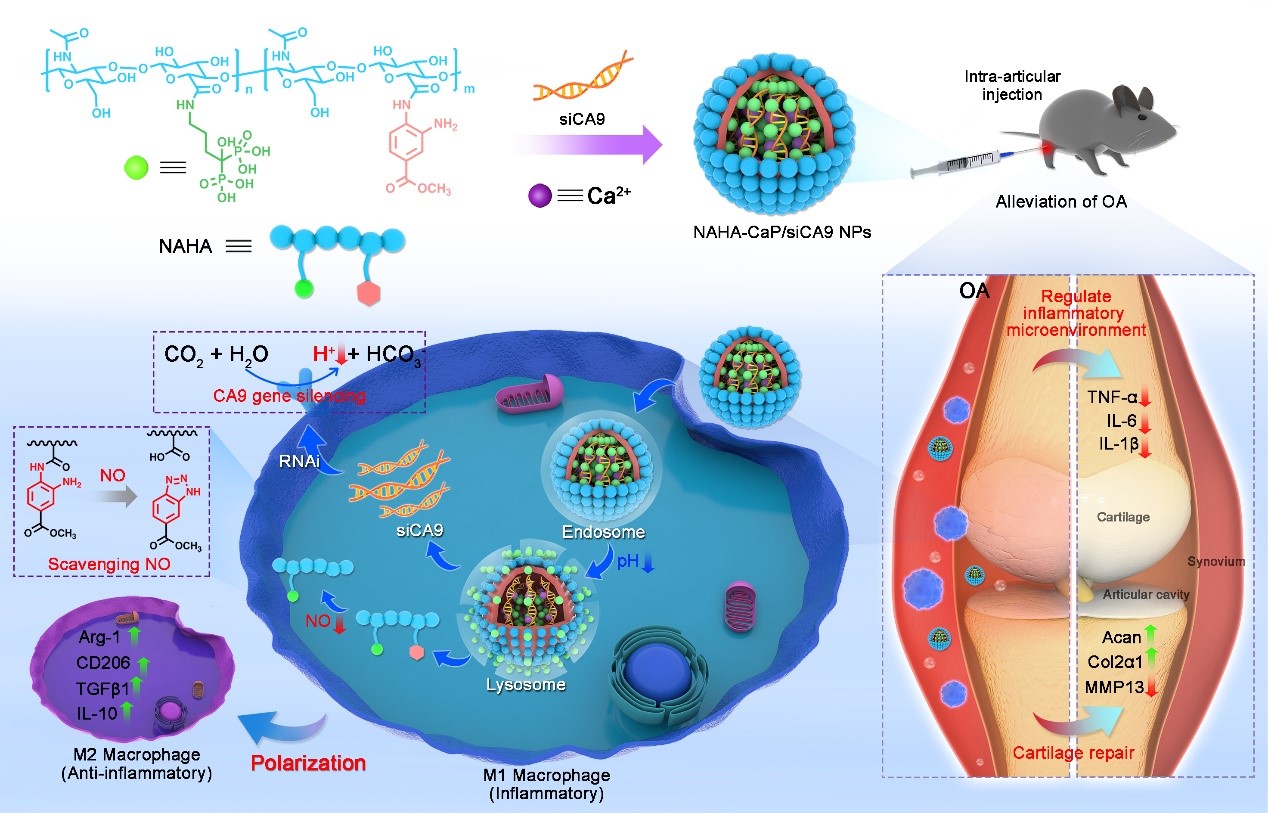 亚游集团·ag8(中国)官网-只為非同凡享